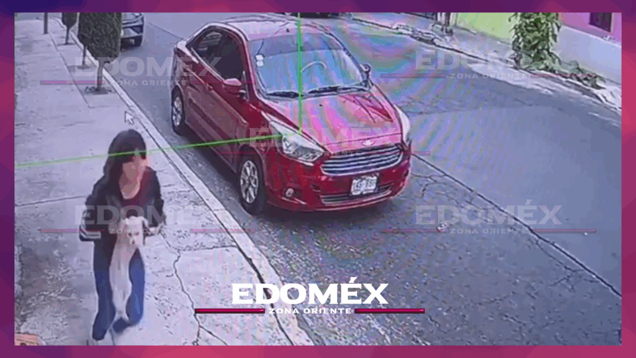 DENUNCIAN ROBO DE “MIAMOCITA”, PERRITA ENFERMA DE LA CADERA, EN NEZAHUALCÓYOTL