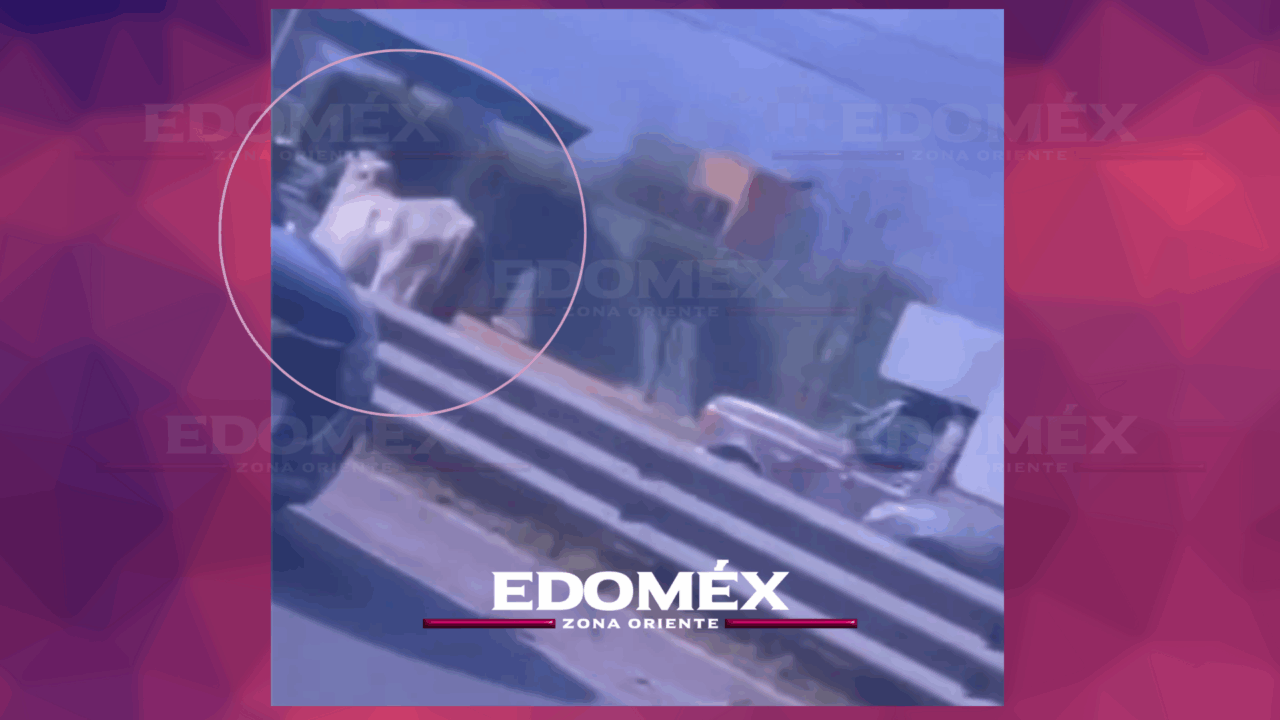 CHOQUE MÚLTIPLE EN CARRETERA DE BOYEROS POR PRESENCIA DE GANADO