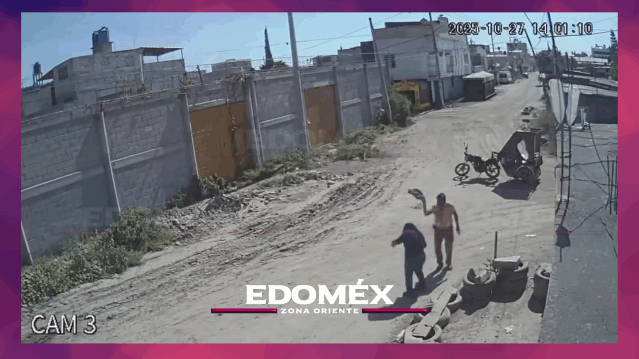 ENJAMBRE DE ABEJAS ATACA A VECINOS EN CHICONAUTLA, ECATEPEC